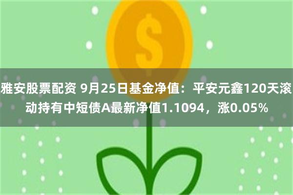 雅安股票配资 9月25日基金净值：平安元鑫120天滚动持有中