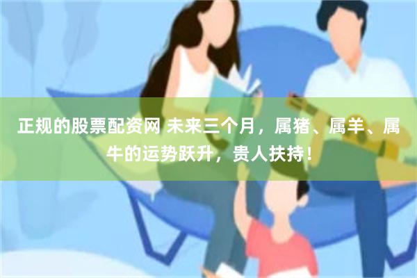 正规的股票配资网 未来三个月，属猪、属羊、属牛的运势跃升，贵