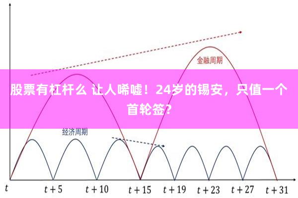 股票有杠杆么 让人唏嘘！24岁的锡安，只值一个首轮签？