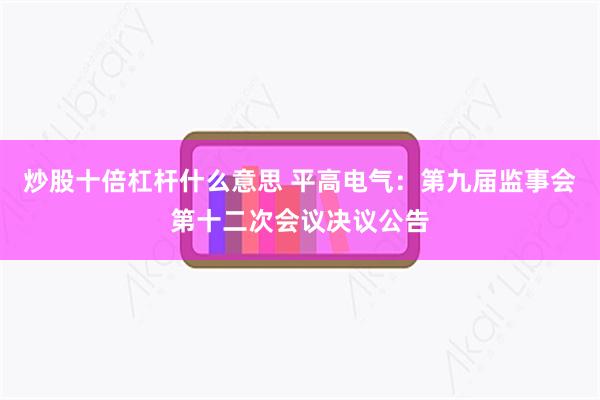 炒股十倍杠杆什么意思 平高电气：第九届监事会第十二次会议决议公告