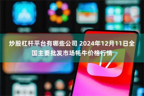 炒股杠杆平台有哪些公司 2024年12月11日全国主要批发市场牦牛价格行情