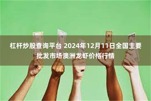 杠杆炒股查询平台 2024年12月11日全国主要批发市场澳洲龙虾价格行情