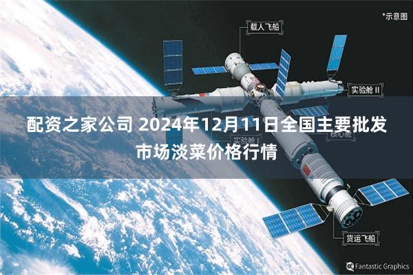 配资之家公司 2024年12月11日全国主要批发市场淡菜价格行情