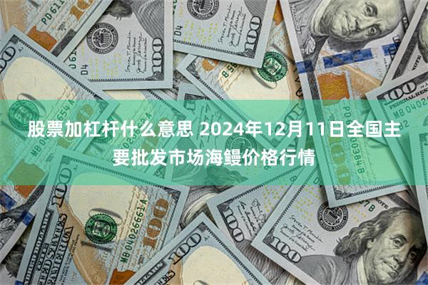 股票加杠杆什么意思 2024年12月11日全国主要批发市场海鳗价格行情