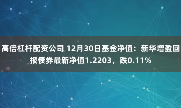 高倍杠杆配资公司 12月30日基金净值：新华增盈回报债券最新净值1.2203，跌0.11%