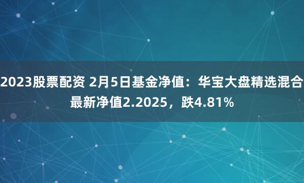 2023股票配资 2月5日基金净值：华宝大盘精选混合最新净值2.2025，跌4.81%