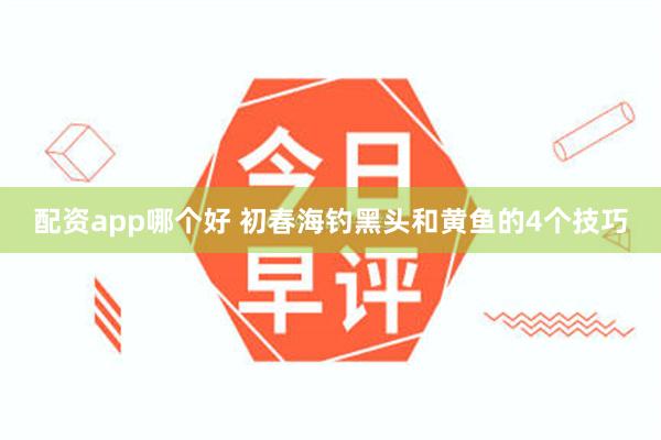 配资app哪个好 初春海钓黑头和黄鱼的4个技巧