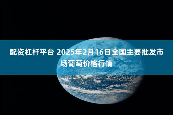 配资杠杆平台 2025年2月16日全国主要批发市场葡萄价格行情