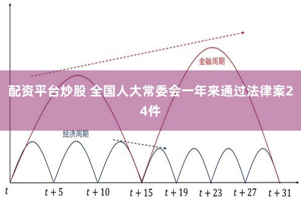 配资平台炒股 全国人大常委会一年来通过法律案24件